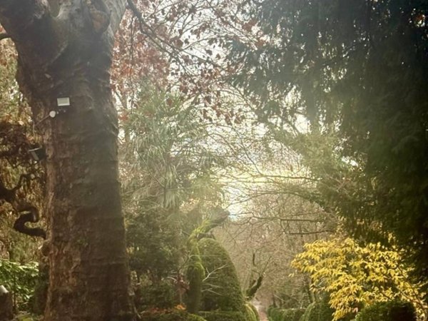 appartamento in affitto a Moncalieri in zona Revigliasco