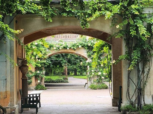 appartamento in affitto a Moncalieri