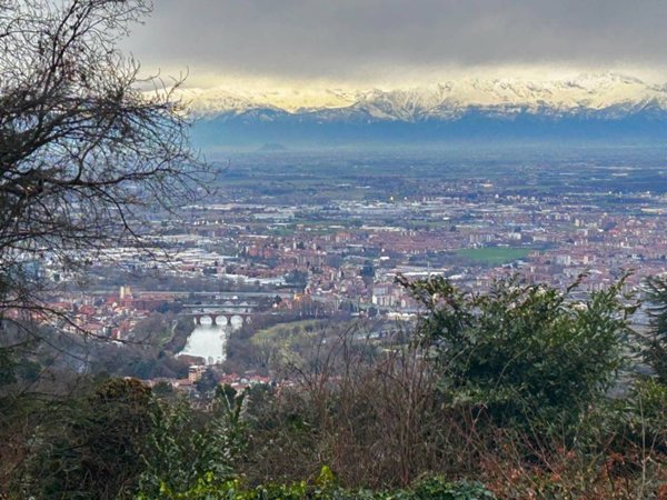 appartamento in affitto a Moncalieri in zona Revigliasco