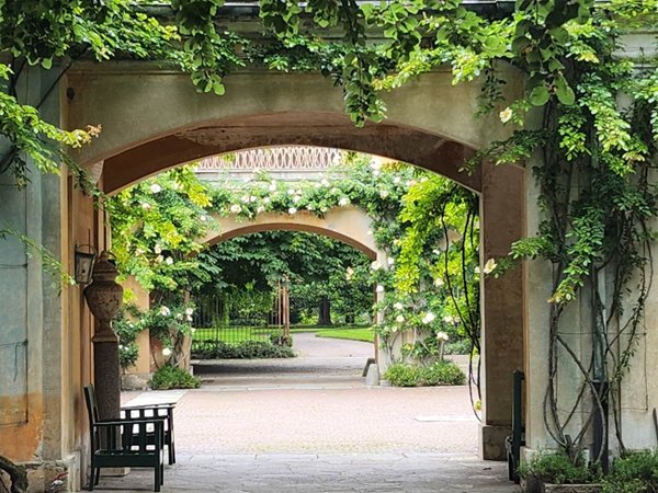 appartamento in affitto a Moncalieri