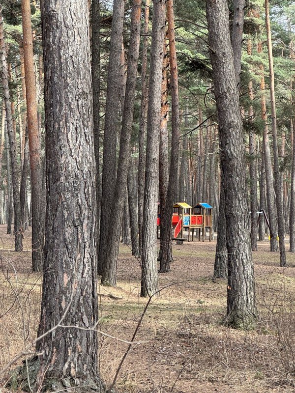 appartamento in affitto ad Oulx