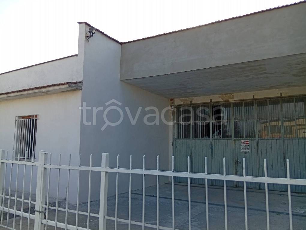 locale commerciale in affitto a Casalmaggiore in zona Agoiolo