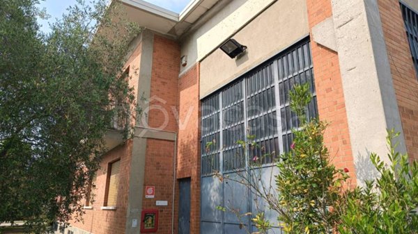 locale commerciale in affitto a Pianezza