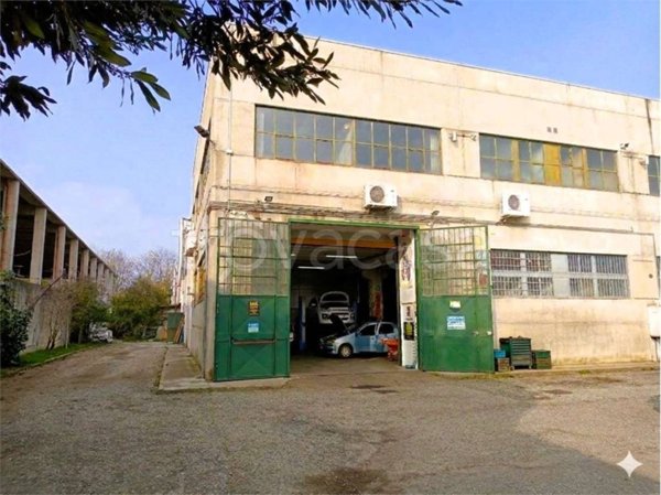 negozio in affitto a Pianezza