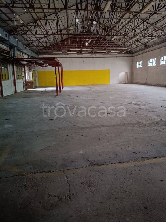 negozio in affitto a Crema