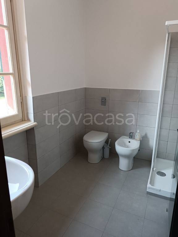 appartamento in affitto a Crema