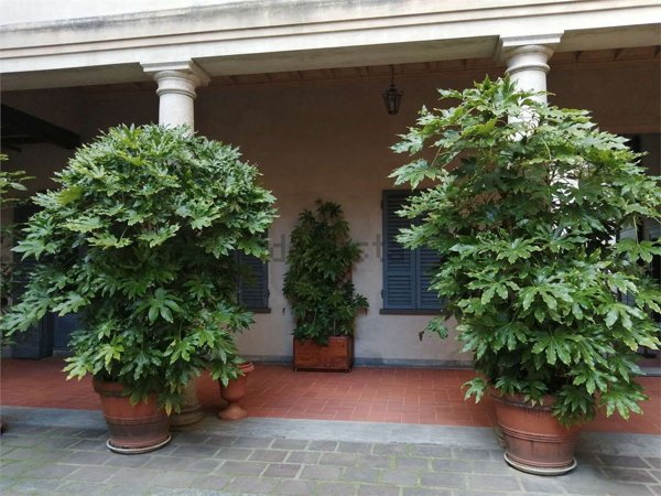 appartamento in affitto a Crema