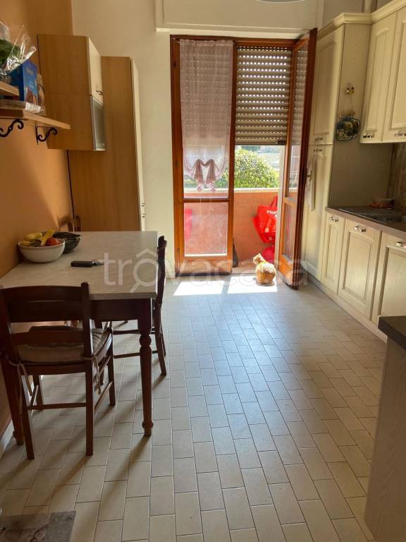 appartamento in affitto a Cremona in zona Viale Po