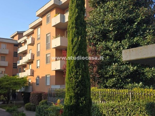 appartamento in affitto a Cremona