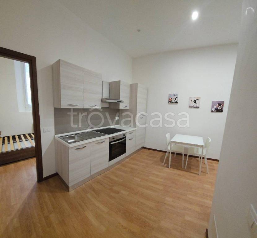 appartamento in affitto a Cremona in zona Cremona Centro