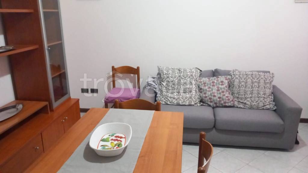 appartamento in affitto a Cremona