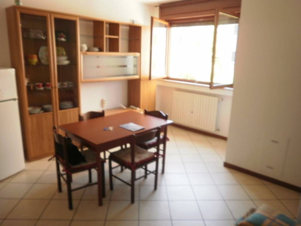 appartamento in affitto a Cremona