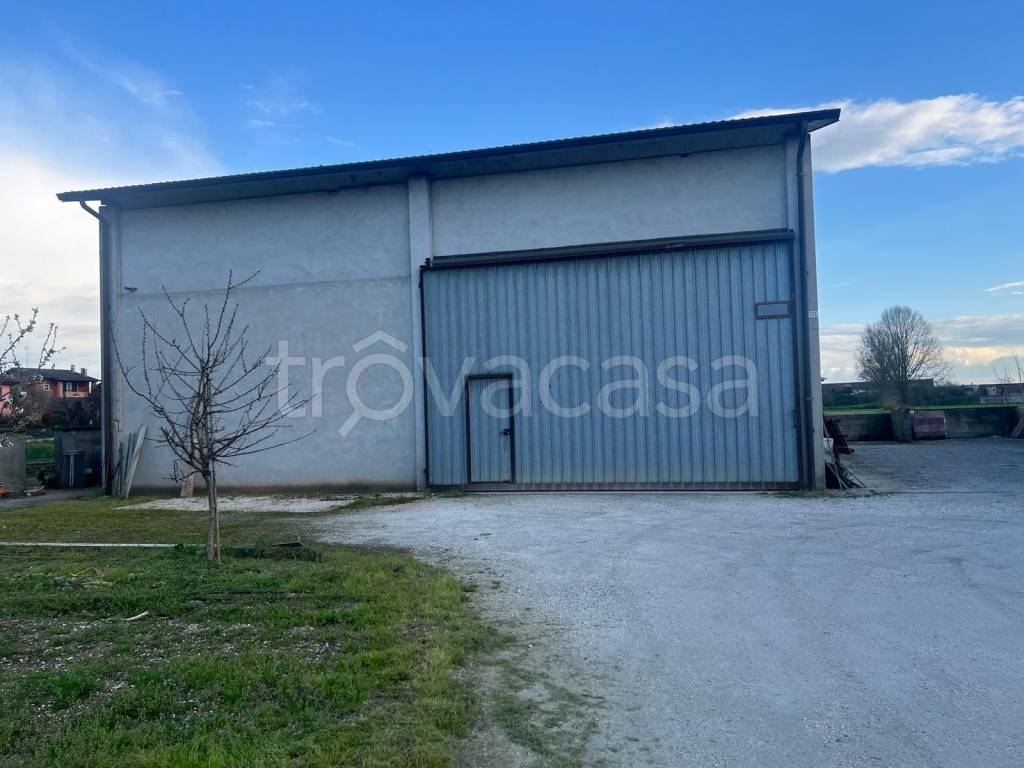 locale commerciale in affitto a Grontardo in zona Levata