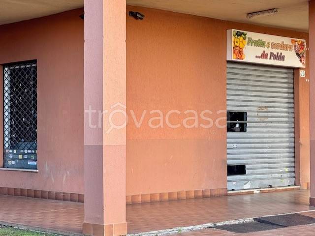 negozio in affitto a Pinerolo