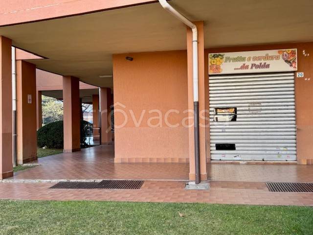 negozio in affitto a Pinerolo