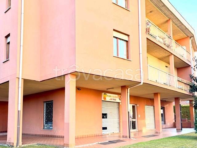 negozio in affitto a Pinerolo