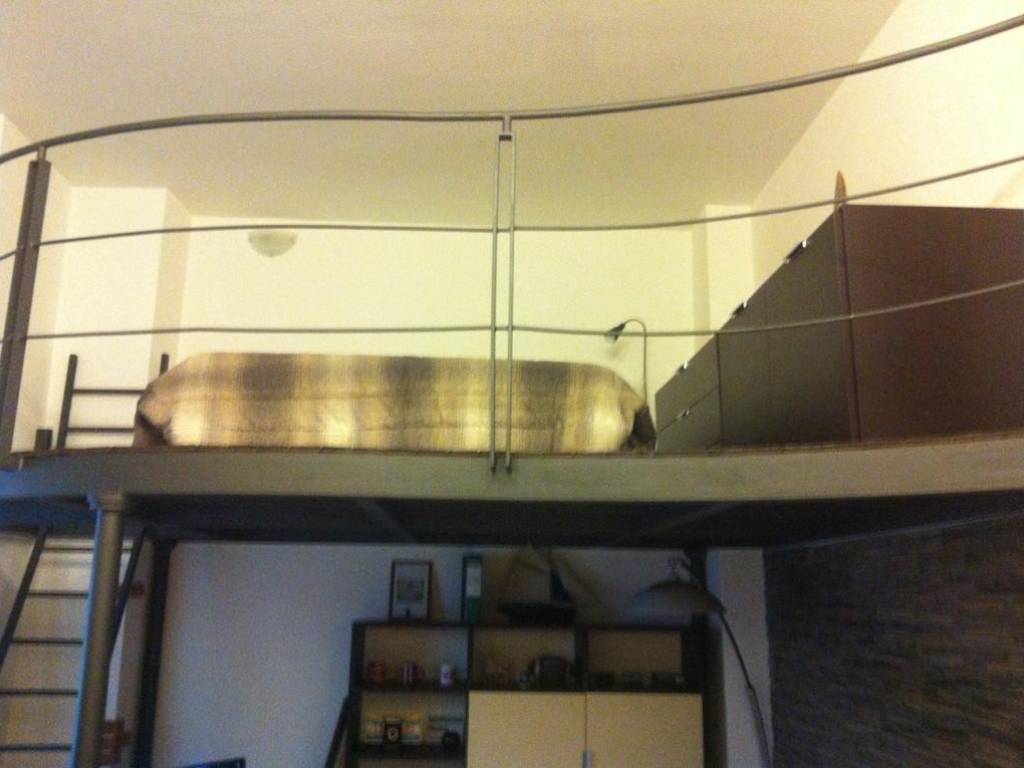 appartamento in affitto a Pinerolo