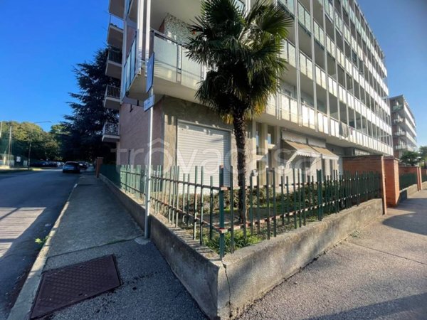 appartamento in affitto a Pinerolo