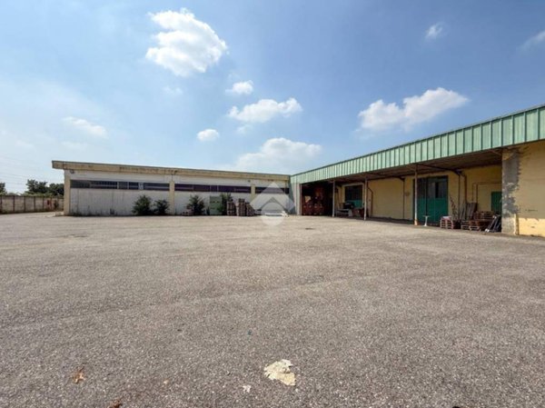 locale commerciale in affitto a Piadena Drizzona in zona Piadena