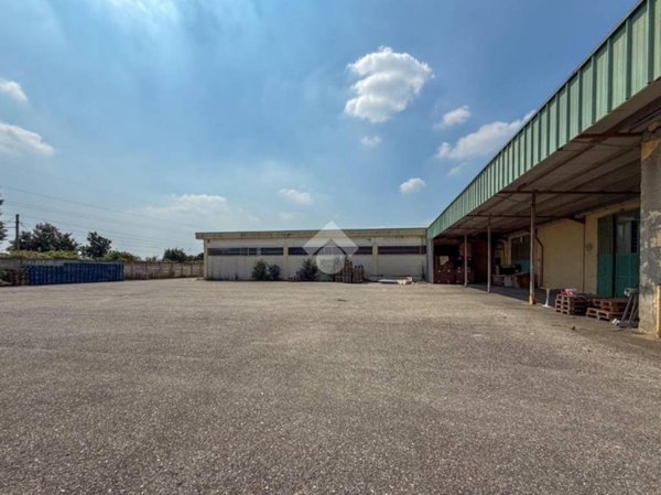 locale commerciale in affitto a Piadena Drizzona in zona Piadena