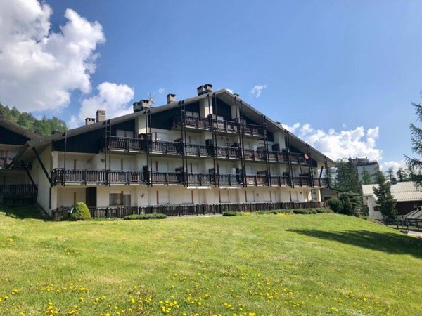 appartamento in affitto a Pragelato