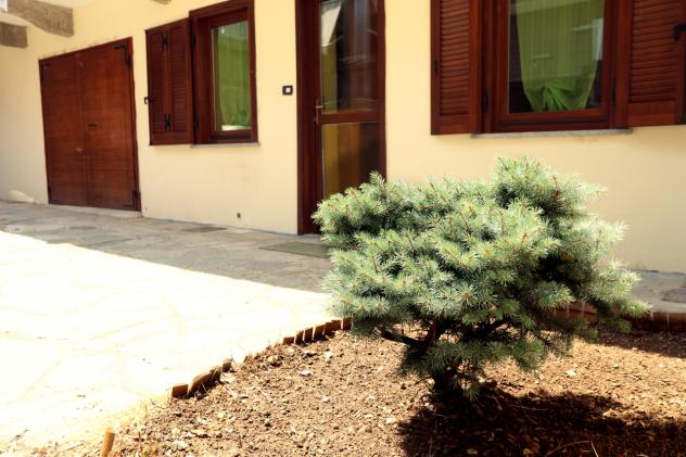 appartamento in affitto a Rivoli