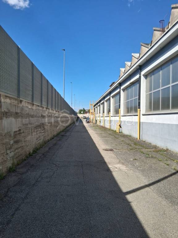 appartamento in affitto a Rivoli