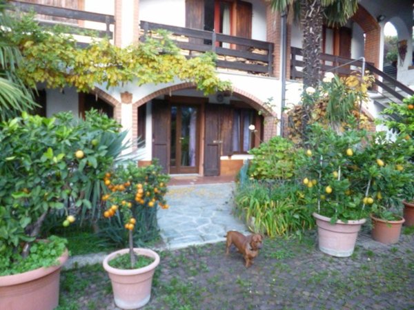 appartamento in affitto a Rosta