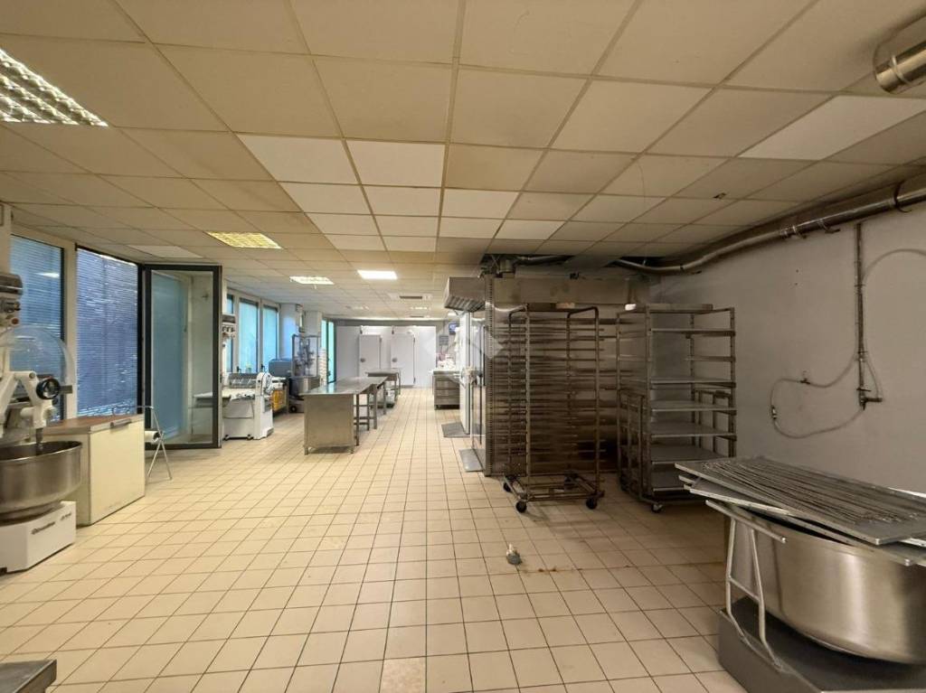 negozio in affitto a Castiglione delle Stiviere