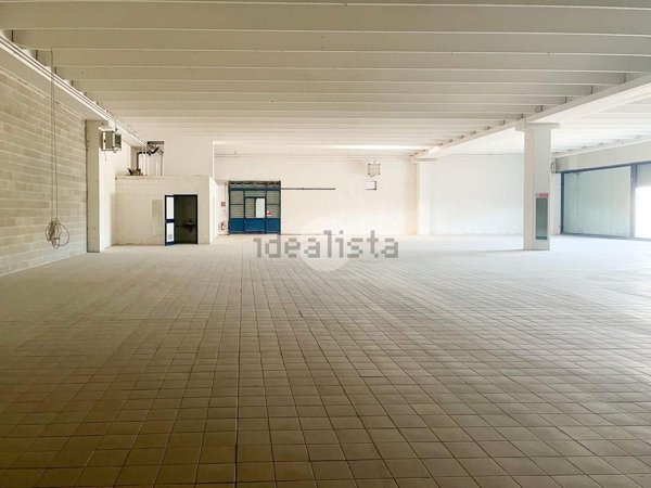 loft in affitto a Castiglione delle Stiviere