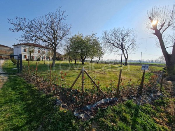 appartamento in affitto a Curtatone