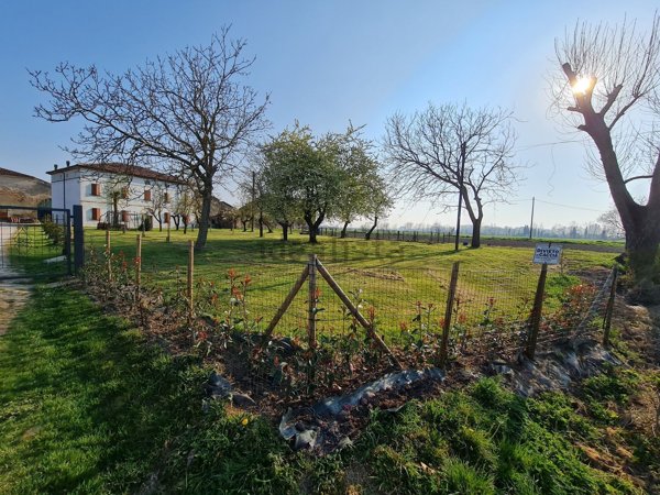 appartamento in affitto a Curtatone