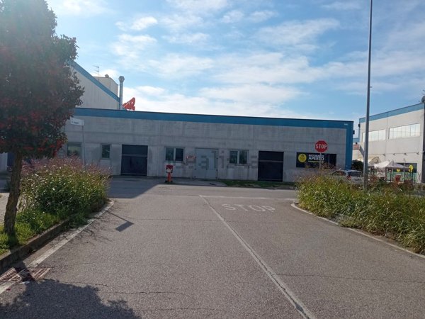 negozio in affitto a Curtatone