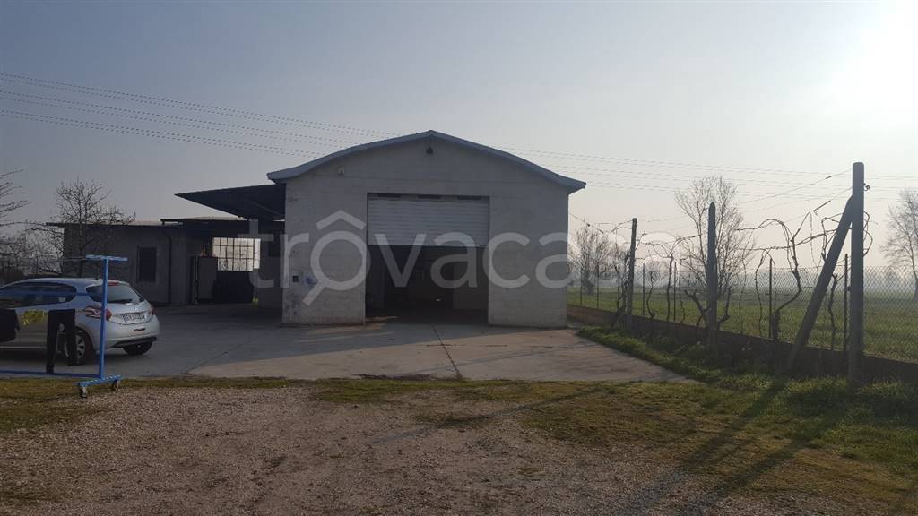 locale commerciale in affitto a Gazzuolo in zona Belforte