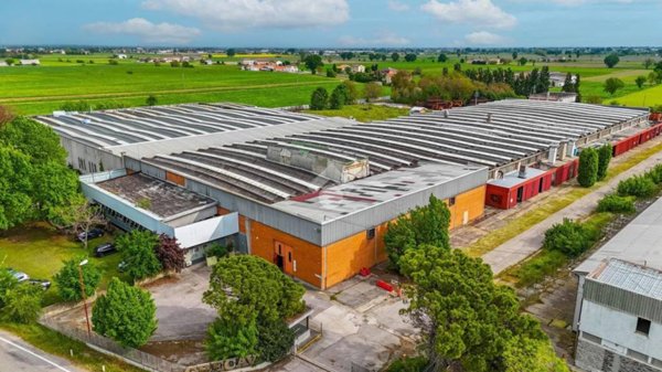 capannone in affitto a Gonzaga