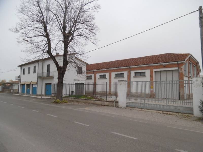 negozio in affitto a Gonzaga