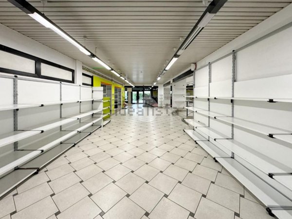 appartamento in affitto a Guidizzolo