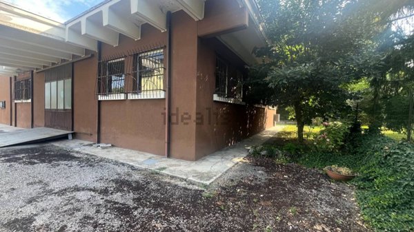 negozio in affitto a Mantova