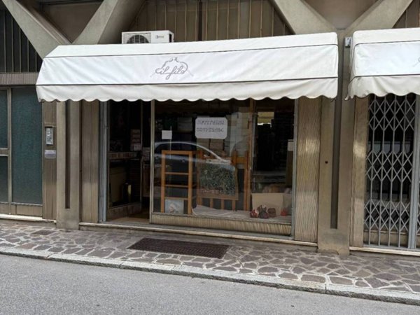 negozio in affitto a Mantova