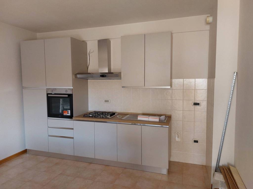 appartamento in affitto a Mantova in zona Tè Brunetti