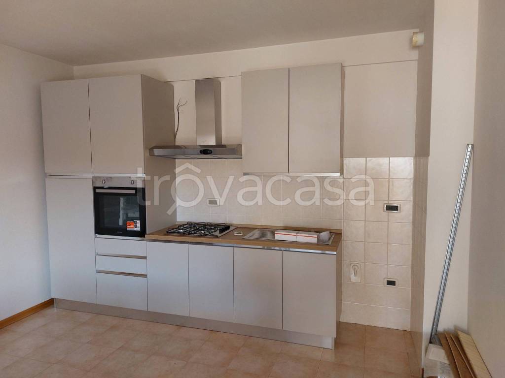appartamento in affitto a Mantova in zona Tè Brunetti