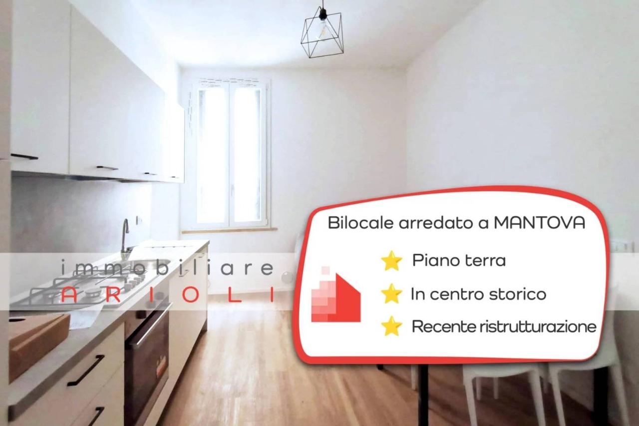 appartamento in affitto a Mantova in zona Centro Storico