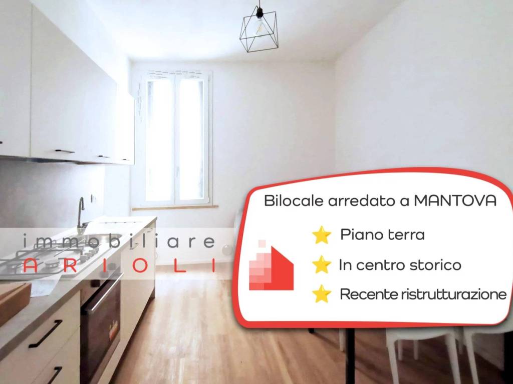 appartamento in affitto a Mantova in zona Centro Storico