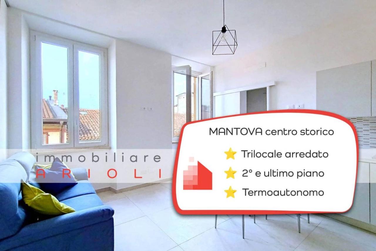 appartamento in affitto a Mantova in zona Centro Storico
