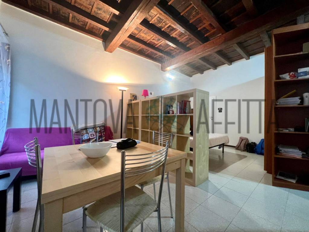 appartamento in affitto a Mantova