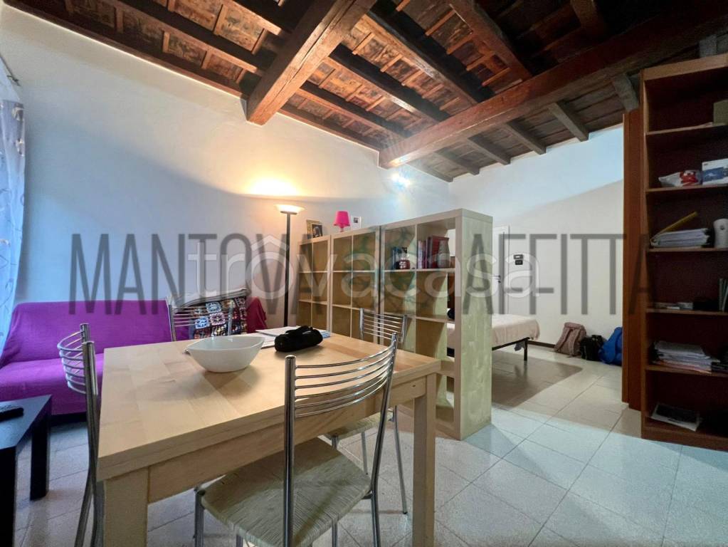 appartamento in affitto a Mantova