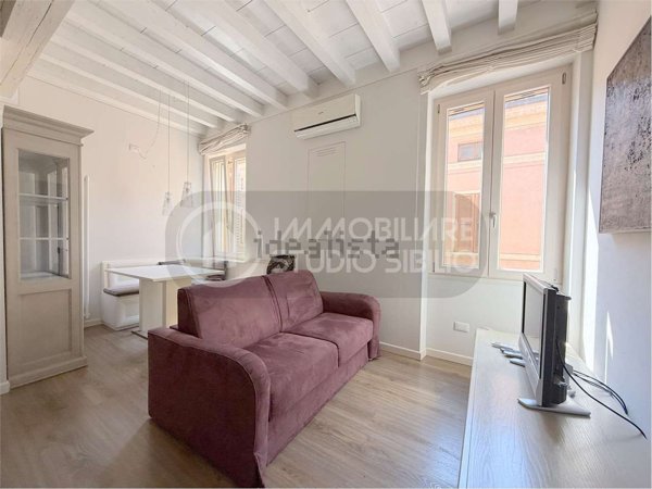 appartamento in affitto a Mantova in zona Centro Storico
