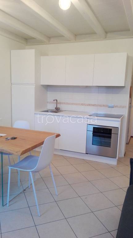 appartamento in affitto a Mantova