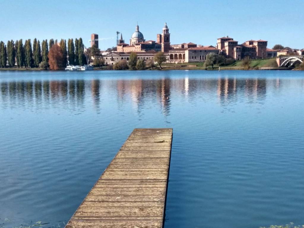 negozio in affitto a Mantova in zona Belfiore