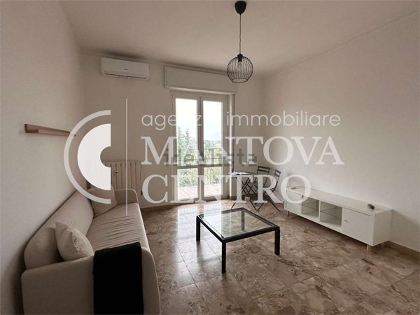 appartamento in affitto a Mantova